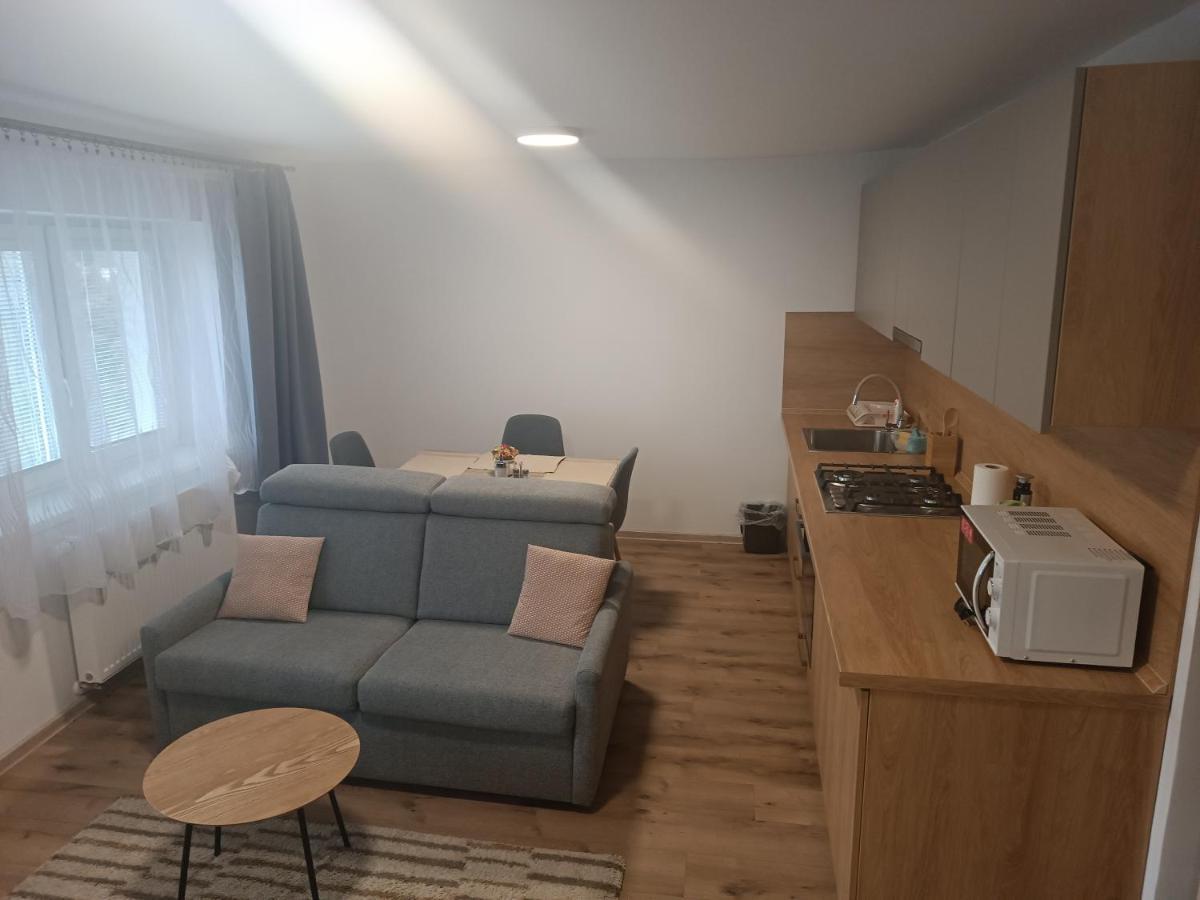 Apartmany Vila Juraj Trencianske Teplice Exterior photo