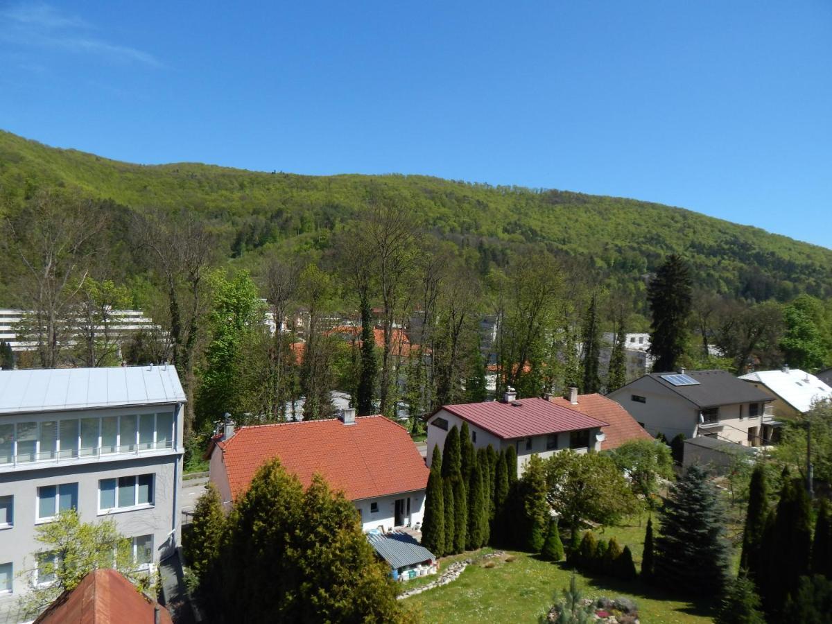 Apartmany Vila Juraj Trencianske Teplice Exterior photo